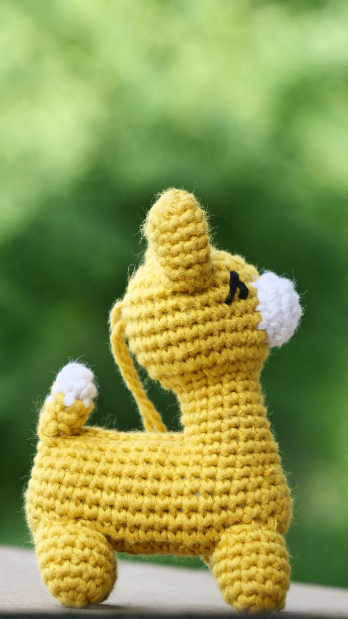 Llama