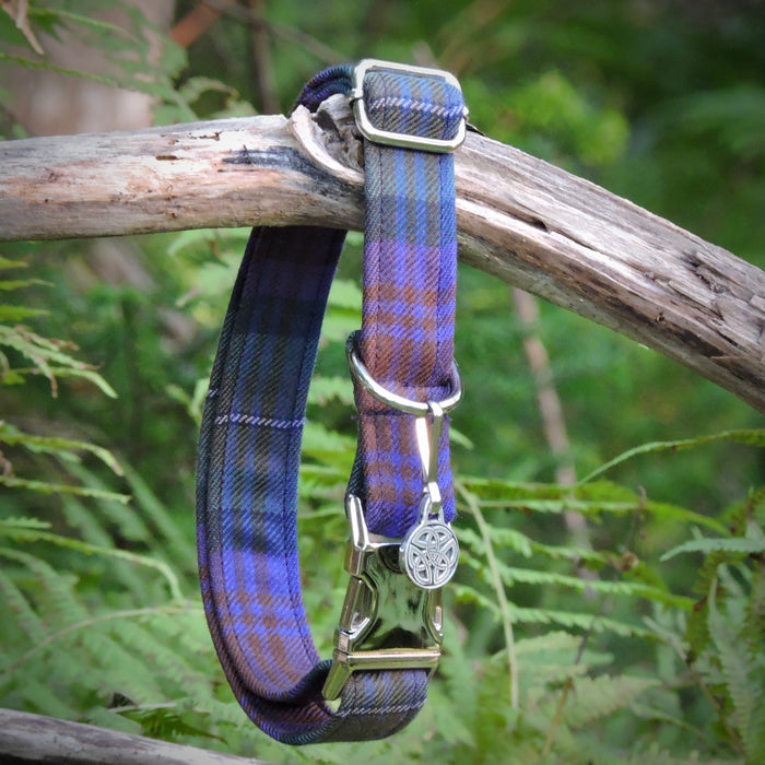 Plaid pups Tartan Dog Collar