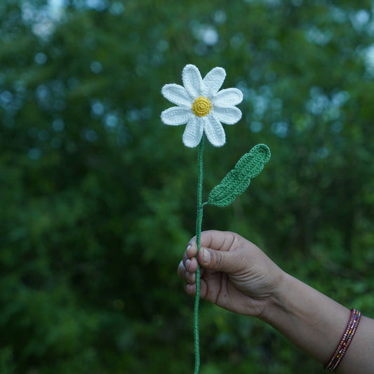 Daisy Flower | Handmade Crochet Festival Decoration | Artisan Made In India | Eco-Friendly| 100% Cotton |